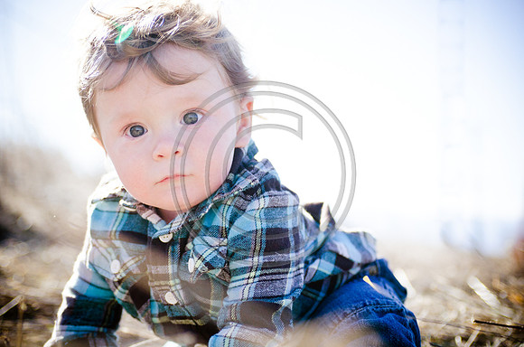 Lane_F016_2012