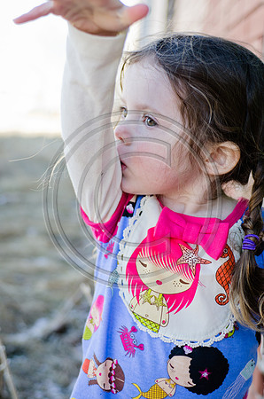 Lane_F090_2012