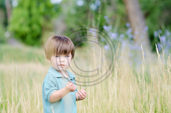 Laurain_053