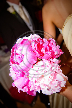 Gieck Wedding-2121