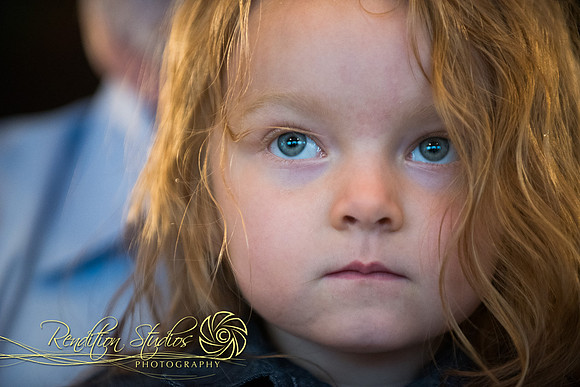 Johnson_FF160-LR
