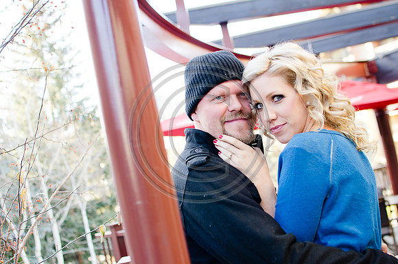 Bull_F029