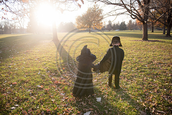 Hellman_F006