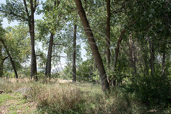DSC_1773