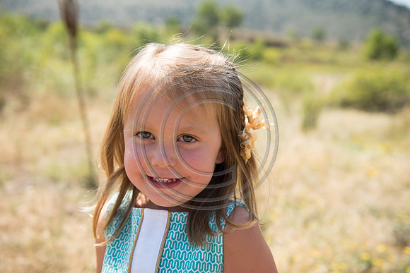 Hellman_F071