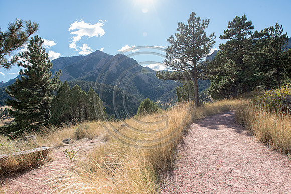 DSC_4351