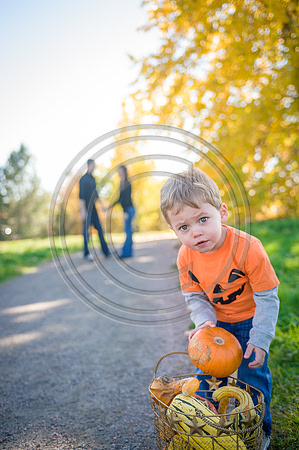 Hellman_F020