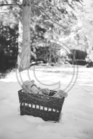 Walsh_F071