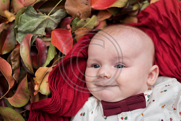 Carter_F027