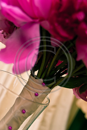 Gieck Wedding-1032