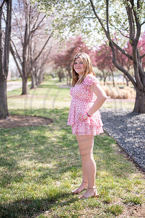 Reynolds_027