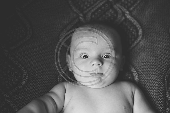 Carter_F010