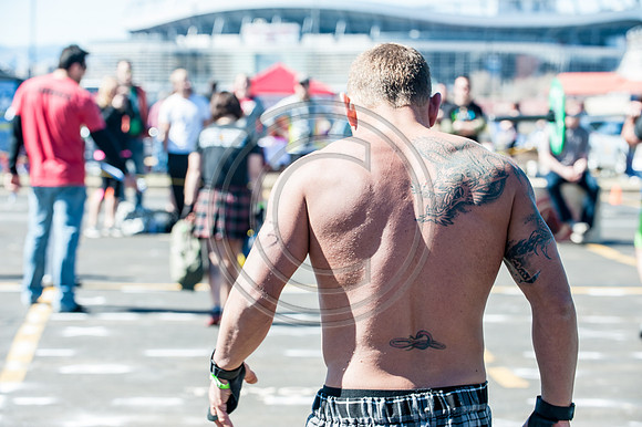 phoenixMS_F047