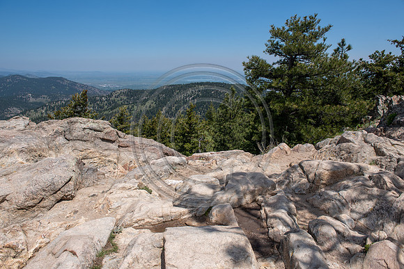 Brinkley_F064