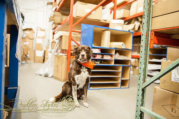 Golfshop_F071-LR