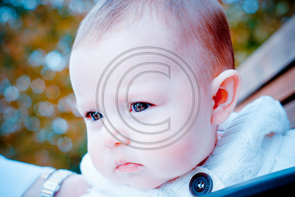 5Sonneman_A0056