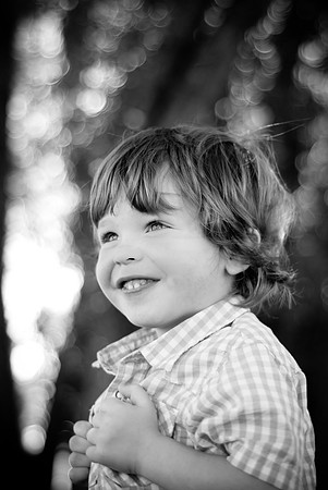 Mitchell_F025