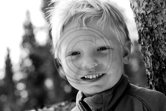 Boehnert_F004