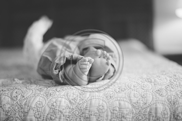Carter_F044