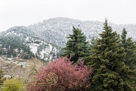 Pease_F005-LR