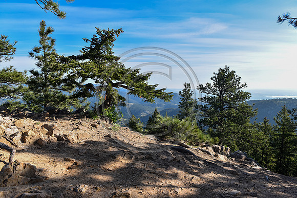 Brinkley_F063