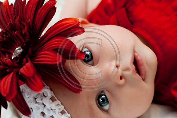 Dribus_Hannah_12242009_home_200