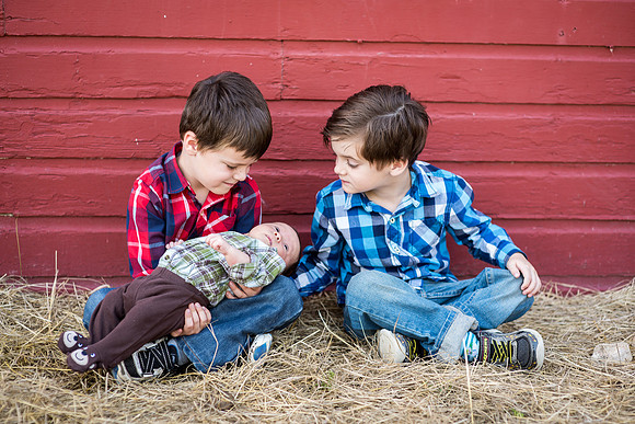 HoneyB_F210