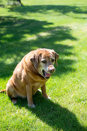 Callahan_034