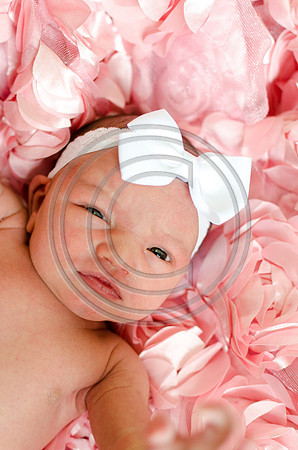 Covell_F059