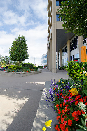 6380Fidlers_F012