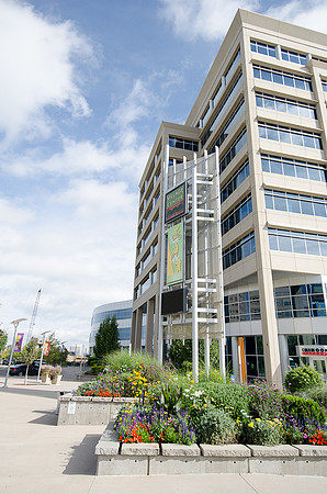6380Fidlers_F015