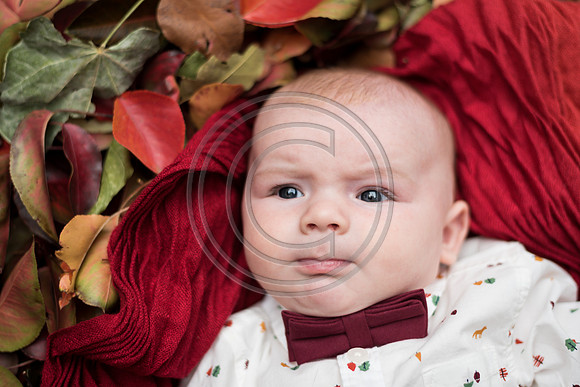 Carter_F028