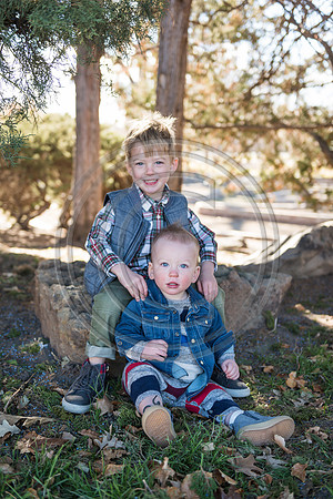 Williamson_F003