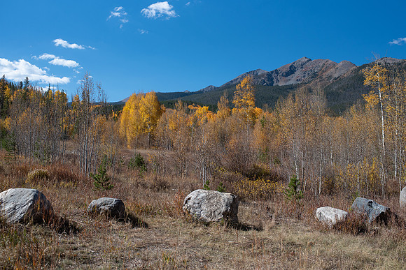 CET_Summit_006