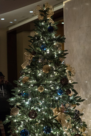 Holiday2016_F351