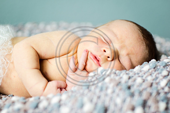 Brinkley_F087