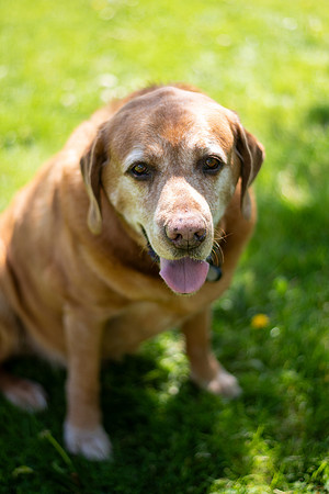 Callahan_061
