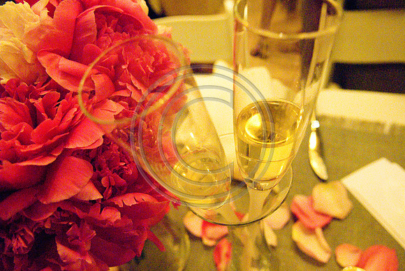 Gieck Wedding-6006