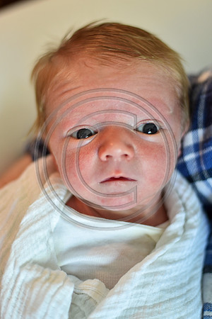Johnson_F005