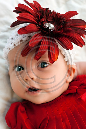 Dribus_Hannah_12242009_home_189