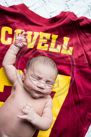 Covell_F103