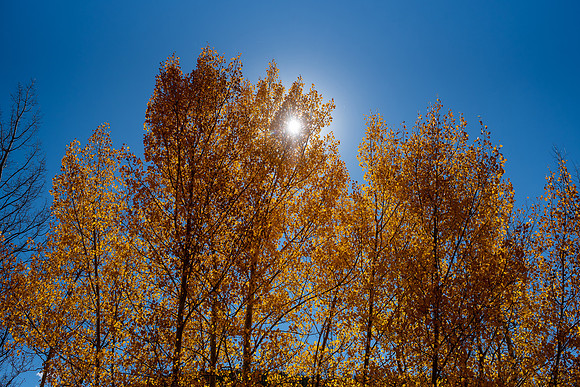 CET_Summit_014