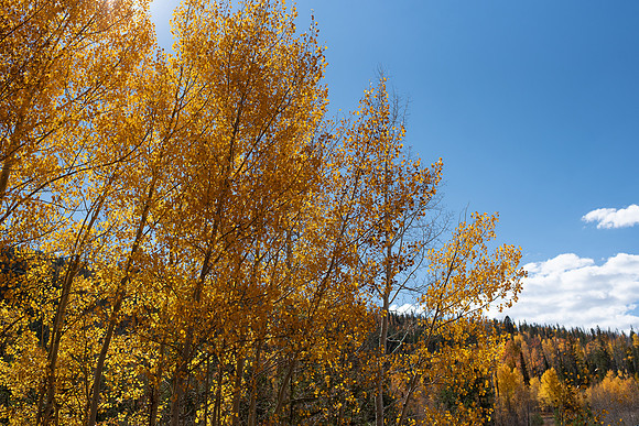 CET_Summit_015