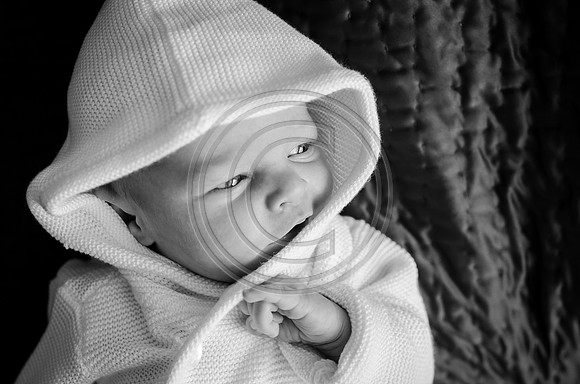 Baham_F029