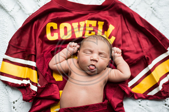 Covell_F106