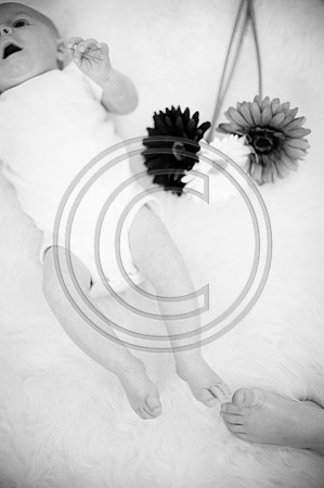 Fargo_F033