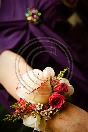 Gieck Wedding-1027