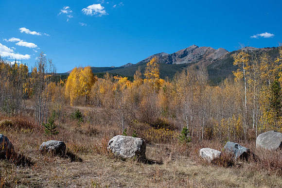 CET_Summit_005