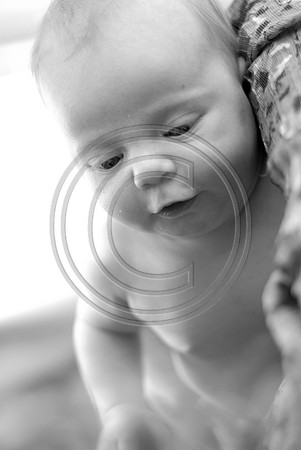 Campbell_F039