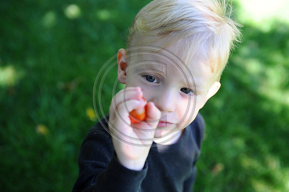 Ballonoff_F050